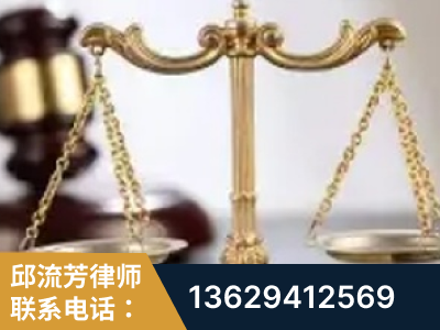 郴州-委托诉讼代理人出庭